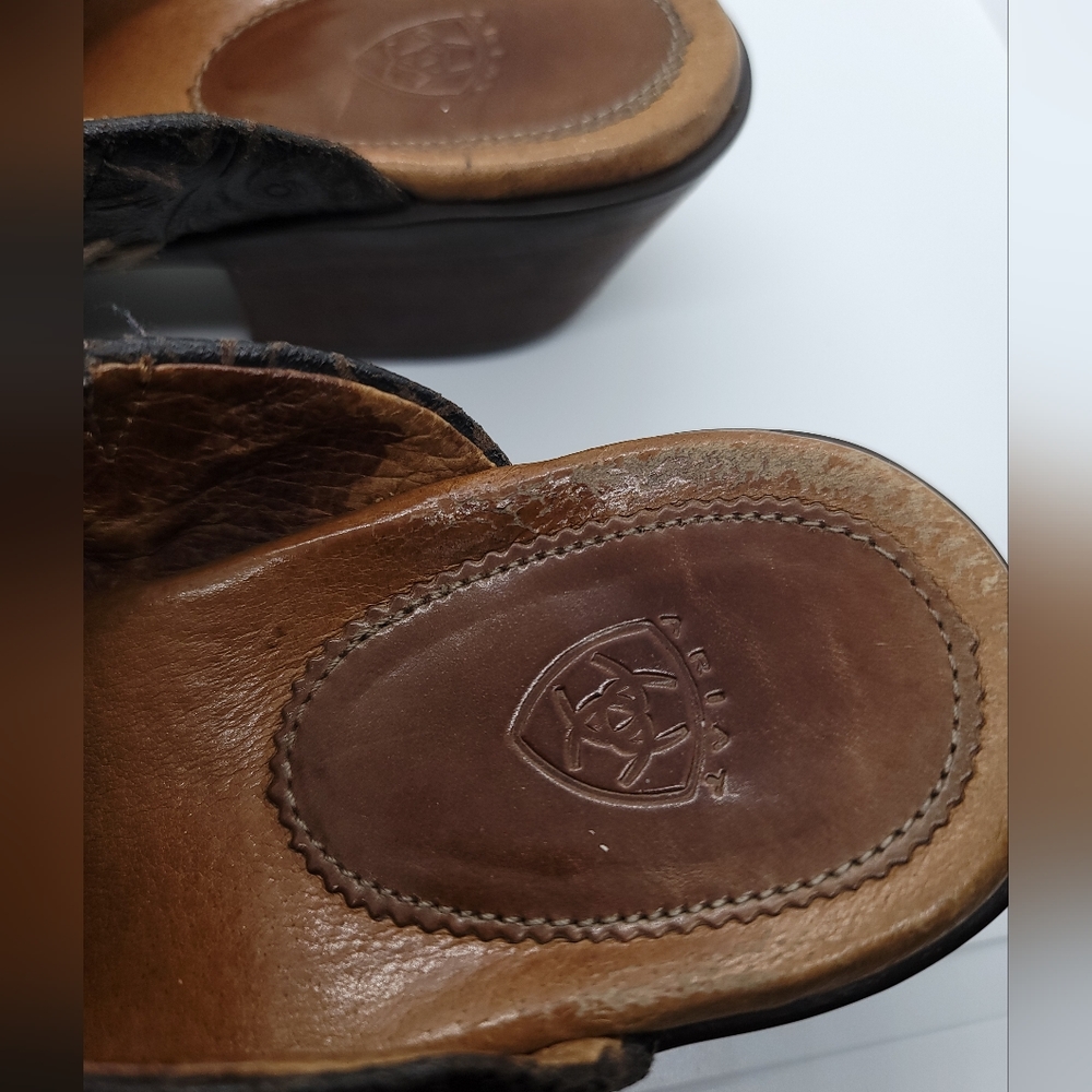 Ariat Black and Brown Women's Shoes - Picture 4 of 15